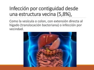 Infección por contiguidad desde
una estructura vecina (5,8%),
Como la vesícula o colon, con extensión directa al
hígado (translocación bacteriana) o infección por
vecindad.
 