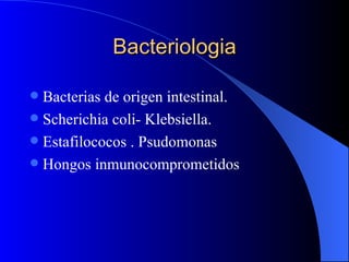 Bacteriologia Bacterias de origen intestinal. Scherichia coli- Klebsiella. Estafilococos . Psudomonas Hongos inmunocomprometidos 