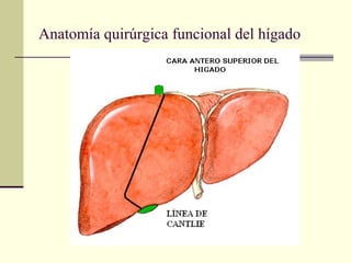 Anatomía quirúrgica funcional del hígado
 