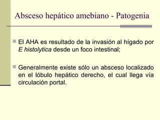  El AHA es resultado de la invasión al hígado por
E histolytica desde un foco intestinal;
 Generalmente existe sólo un absceso localizado
en el lóbulo hepático derecho, el cual llega vía
circulación portal.
Absceso hepático amebiano - Patogenia
 
