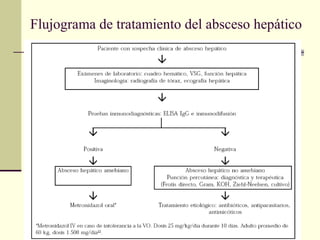 Flujograma de tratamiento del absceso hepático
 