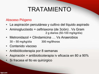 TRATAMIENTO
Absceso Piógeno
• La aspiración percutánea y cultivo del líquido aspirado
• Aminoglucósido + ceftriaxona (de 3ción) . Vs Gram
2 g diarios (50-100 mg/kg/día)
• Metronidazol + Clindamicina … Vs Anaerobios
30 – 50 mg/kg/día 300 mg/8horas
• Contenido viscoso
• Antibióticoterapia por 8 semanas
• Aspiración + antibioticoterapia iv eficacia en 80 a 90%
• Si fracasa el tto es quirúrgico
 