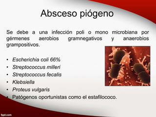 Absceso piógeno
Se debe a una infección poli o mono microbiana por
gérmenes aerobios gramnegativos y anaerobios
grampositivos.
• Escherichia coli 66%
• Streptococcus milleri
• Streptococcus fecalis
• Klebsiella
• Proteus vulgaris
• Patógenos oportunistas como el estafilococo.
 