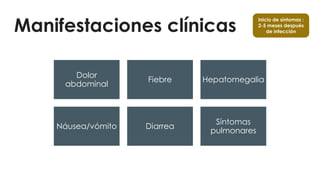 Manifestaciones clínicas
Dolor
abdominal
Fiebre Hepatomegalia
Náusea/vómito Diarrea
Síntomas
pulmonares
Inicio de síntomas :
2-5 meses después
de infección
 
