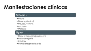 Manifestaciones clínicas
Síntomas
•Fiebre
•Dolor abdominal
•Náusea, vómito
•Anorexia
•Malestar
Signos
•Dolor en hipocondrio derecho
•Hepatomegalia
•Ictericia
•Hemidiafragma elevado
 