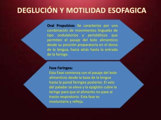Oral Propulsiva: Se caracteriza por una 
combinación de movimientos linguales de 
tipo ondulatorios y peristálticos que 
permiten el pasaje del bolo alimenticio 
desde su posición preparatoria en el dorso 
de la lengua, hacia atrás hasta la entrada 
de la faringe. 
Fase Faríngea: 
Esta Fase comienza con el pasaje del bolo 
alimenticio desde la base de la lengua 
hasta la pared faríngea posterior. El velo 
del paladar se eleva y la epiglotis cubre la 
laringe para que el alimento no pase al 
tracto respiratorio. Esta fase es 
involuntaria y refleja. 
 