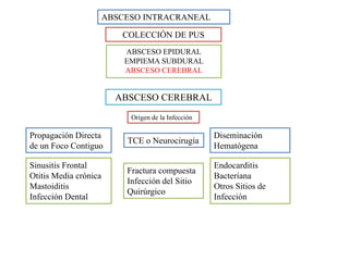 absceso-intracraneal-pdf