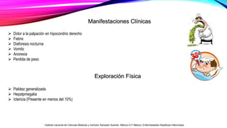 Manifestaciones Clínicas
 Dolor a la palpación en hipocondrio derecho
 Fiebre
 Diaforesis nocturna
 Vomito
 Anorexia
 Perdida de peso
Exploración Física
 Palidez generalizada
 Hepatpmegalia
 Ictericia (Presente en menos del 10%)
Instituto nacional de Ciencias Medicas y nutrición Salvador Subirán. México D.F México. Enfermedades Hepáticas Infecciosas
 