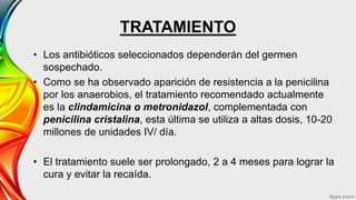 TRATAMIENTO
• Los antibióticos seleccionados dependerán del germen
sospechado.
• Como se ha observado aparición de resistencia a la penicilina
por los anaerobios, el tratamiento recomendado actualmente
es la clindamicina o metronidazol, complementada con
penicilina cristalina, esta última se utiliza a altas dosis, 10-20
millones de unidades IV/ día.
• El tratamiento suele ser prolongado, 2 a 4 meses para lograr la
cura y evitar la recaída.
 