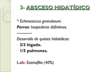 3-3- ABSCESO HIDATÍDICOABSCESO HIDATÍDICO
* Echinococcus granulosum.
Perros: hospederos definitivos.
-----------
Desarrollo de quístes hidatídicos:
- 2/3 hígado.
- 1/3 pulmones.
Lab: Eosinofilia (40%)
 