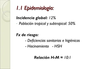 1.1 Epidemiología:1.1 Epidemiología:
Incidencia global: 12%
- Población tropical y subtropical: 50%
Fx de riesgo:
- Deficiencias sanitarias e higiénicas
- Hacinamiento - HSH
Relación H-M = 10:1
 