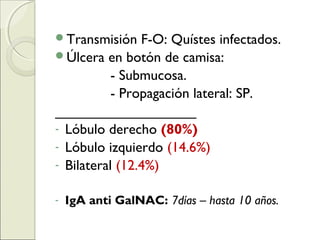 Transmisión F-O: Quístes infectados.
Úlcera en botón de camisa:
- Submucosa.
- Propagación lateral: SP.
__________________
- Lóbulo derecho (80%)
- Lóbulo izquierdo (14.6%)
- Bilateral (12.4%)
- IgA anti GalNAC: 7días – hasta 10 años.
 