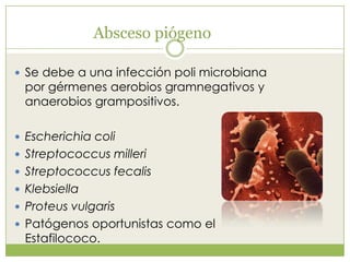 Absceso piógeno
 Se debe a una infección poli microbiana
por gérmenes aerobios gramnegativos y
anaerobios grampositivos.
 Escherichia coli
 Streptococcus milleri
 Streptococcus fecalis
 Klebsiella
 Proteus vulgaris
 Patógenos oportunistas como el
Estafilococo.
 