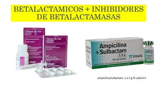 BETALACTAMICOS + INHIBIDORES
DE BETALACTAMASAS
ampicilina/sulbactam, 1 a 2 g IV cada 6 h
 