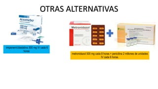 OTRAS ALTERNATIVAS
imipenem/cilastatina 500 mg IV cada 6
horas
metronidazol 500 mg cada 8 horas + penicilina 2 millones de unidades
IV cada 6 horas.
 