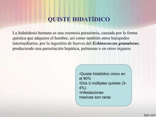 QUISTE HIDATÍDICO

La hidatidosis humana es una zoonosis parasitaria, causada por la forma
quística que adquiere el hombre, así como también otros huéspedes
intermediarios, por la ingestión de huevos del Echinococcus granulosus,
produciendo una parasitación hepática, pulmonar o en otros órganos.




                                     •Quiste hidatídico único en
                                     el 90%
                                     •Dos ó múltiples quistes (3-
                                     4%)
                                     •Infestaciones
                                     masivas son raras
 