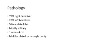 Pathology
• 75% right hemiliver
• 20% left hemiliver
• 5% caudate lobe
• Mostly solitary
• 1 mm – 4 cm
• Multiloculated or in single cavity
 