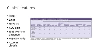 Clinical features
• Fever
• Chills
• Jaundice
• RUQ pain
• Tenderness to
palpation
• Hepatomegaly
• Acute or
chronic
 