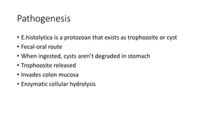 Pathogenesis
• E.histolytica is a protozoan that exists as trophozoite or cyst
• Fecal-oral route
• When ingested, cysts aren’t degraded in stomach
• Trophozoite released
• Invades colon mucosa
• Enzymatic cellular hydrolysis
 