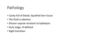Pathology
• Cavity full of blood, liquefied liver tissue
• The fluid is odorless
• Glisson capsule resistant to hydrolysis
• Early stage, ill-defined
• Right hemiliver
 
