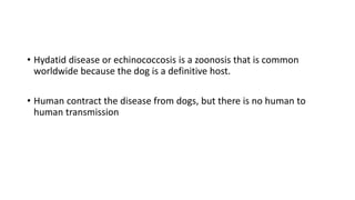 • Hydatid disease or echinococcosis is a zoonosis that is common
worldwide because the dog is a definitive host.
• Human contract the disease from dogs, but there is no human to
human transmission
 