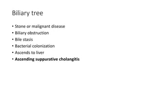 Biliary tree
• Stone or malignant disease
• Biliary obstruction
• Bile stasis
• Bacterial colonization
• Ascends to liver
• Ascending suppurative cholangitis
 