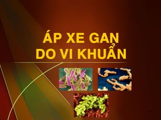 17
AÙP XE GAN
DO VI KHUAÅN
 