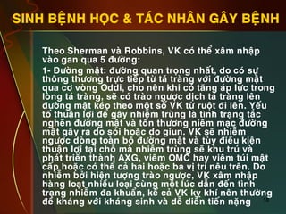 18
SINH BEÄNH HOÏC & TAÙC NHAÂN GAÂY BEÄNH
•  Theo Sherman vaø Robbins, VK coù theå xaâm nhaäp
vaøo gan qua 5 ñöôøng:
•  1- Ñöôøng maät: ñöôøng quan troïng nhaát, do coù söï
thoâng thöông tröïc tieáp töø taù traøng vôùi ñöôøng maät
qua cô voøng Oddi, cho neân khi coù taêng aùp löïc trong
loøng taù traøng, seõ coù traøo ngöôïc dòch taù traøng leân
ñöôøng maät keùo theo moät soá VK töø ruoät ñi leân. Yeáu
toá thuaän lôïi ñeå gaây nhieãm truøng laø tình traïng taéc
ngheõn ñöôøng maät vaø toån thöông nieâm maïc ñöôøng
maät gaây ra do soûi hoaëc do giun. VK seõ nhieãm
ngöôïc doøng toaøn boä ñöôøng maät vaø tuøy ñieàu kieän
thuaän lôïi taïi choã maø nhieãm truøng seõ khu truù vaø
phaùt trieån thaønh AXG, vieâm OMC hay vieâm tuùi maät
caáp hoaëc coù theå caû hai hoaëc ba vò trí neâu treân. Do
nhieãm bôûi hieän töôïng traøo ngöôïc, VK xaâm nhaäp
haøng loaït nhieàu loaïi cuøng moät luùc daãn ñeán tình
traïng nhieãm ña khuaån, keå caû VK kî khí neân thöôøng
ñeà khaùng vôùi khaùng sinh vaø deã dieãn tieán naëng
 