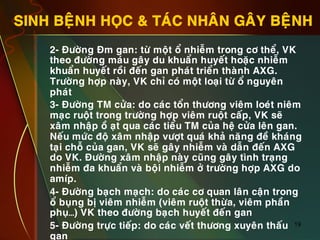 19
SINH BEÄNH HOÏC & TAÙC NHAÂN GAÂY BEÄNH
•  2- Ñöôøng Ñm gan: töø moät oå nhieãm trong cô theå, VK
theo ñöôøng maùu gaây du khuaån huyeát hoaëc nhieãm
khuaån huyeát roài ñeán gan phaùt trieån thaønh AXG.
Tröôøng hôïp naøy, VK chæ coù moät loaïi töø oå nguyeân
phaùt
•  3- Ñöôøng TM cöûa: do caùc toån thöông vieâm loeùt nieâm
maïc ruoät trong tröôøng hôïp vieâm ruoät caáp, VK seõ
xaâm nhaäp oà aït qua caùc tieåu TM cuûa heä cöûa leân gan.
Neáu möùc ñoä xaâm nhaäp vöôït quaù khaû naêng ñeà khaùng
taïi choã cuûa gan, VK seõ gaây nhieãm vaø daãn ñeán AXG
do VK. Ñöôøng xaâm nhaäp naøy cuõng gaây tình traïng
nhieãm ña khuaån vaø boäi nhieãm ôû tröôøng hôïp AXG do
amíp.
•  4- Ñöôøng baïch maïch: do caùc cô quan laân caän trong
oå buïng bò vieâm nhieãm (vieâm ruoät thöøa, vieâm phaàn
phuï…) VK theo ñöôøng baïch huyeát ñeán gan
•  5- Ñöôøng tröïc tieáp: do caùc veát thöông xuyeân thaáu
gan
 