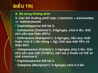 27
ÑIEÀU TRÒ
•  A. Söû duïng Khaùng sinh:
•  2- Caùc KS thöôøng phoái hôïp: β-lactamin + aminosides
+/- metronidazole
•  * Cephalosporine theá heä 3:
•  - Cefotaxime (Claforan*): 3-6g/ngaøy, chia 3 laàn, thaûi
chuû yeáu qua thaän (85%)
•  - Ceftriaxone (Rocephin*): 2-4g/ngaøy, lieàu duy nhaát
hoaëc chia 2 ( neáu duøng > 2g), thaûi qua maät 40% vaø
thaän 60%
•  - Cefoperazone (Cefobis*): 2-4g/ngaøy chia 2 laàn, thaûi
chuû yeáu qua maät (70-80%), caàn löu yù thuoác coù theå öùc
cheá vitamine K
•  * Cephalosporine theá heä 4:
•  - Cefepime (Maxipime*): 3-4g/ngaøy chia 2-3 laàn
 