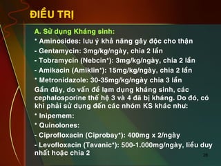 28
ÑIEÀU TRÒ
•  A. Söû duïng Khaùng sinh:
•  * Aminosides: löu yù khaû naêng gaây ñoäc cho thaän
•  - Gentamycin: 3mg/kg/ngaøy, chia 2 laàn
•  - Tobramycin (Nebcin*): 3mg/kg/ngaøy, chia 2 laàn
•  - Amikacin (Amiklin*): 15mg/kg/ngaøy, chia 2 laàn
•  * Metronidazole: 30-35mg/kg/ngaøy chia 3 laàn
•  Gaàn ñaây, do vaán ñeà laïm duïng khaùng sinh, caùc
cephalosporine theá heä 3 vaø 4 ñaõ bò khaùng. Do ñoù, coù
khi phaûi söû duïng ñeán caùc nhoùm KS khaùc nhö:
•  * Inipemem:
•  * Quinolones:
•  - Ciprofloxacin (Ciprobay*): 400mg x 2/ngaøy
•  - Levofloxacin (Tavanic*): 500-1.000mg/ngaøy, lieàu duy
nhaát hoaëc chia 2
 