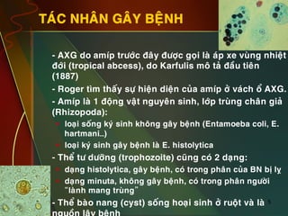 5
TAÙC NHAÂN GAÂY BEÄNH
•  - AXG do amíp tröôùc ñaây ñöôïc goïi laø aùp xe vuøng nhieät
ñôùi (tropical abcess), do Karfulis moâ taû ñaàu tieân
(1887)
•  - Roger tìm thaáy söï hieän dieän cuûa amíp ôû vaùch oå AXG.
•  - Amíp laø 1 ñoäng vaät nguyeân sinh, lôùp truøng chaân giaû
(Rhizopoda):
§  loaïi soáng kyù sinh khoâng gaây beänh (Entamoeba coli, E.
hartmani…)
§  loaïi kyù sinh gaây beänh laø E. histolytica
•  - Theå tö döôõng (trophozoite) cuõng coù 2 daïng:
§  daïng histolytica, gaây beänh, coù trong phaân cuûa BN bò lî
§  daïng minuta, khoâng gaây beänh, coù trong phaân ngöôøi
“laønh mang truøng”
•  - Theå baøo nang (cyst) soáng hoaïi sinh ôû ruoät vaø laø
 