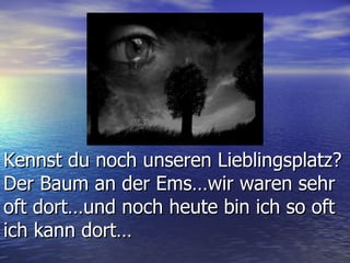 Kennst du noch unseren Lieblingsplatz? Der Baum an der Ems…wir waren sehr oft dort…und noch heute bin ich so oft ich kann dort… 