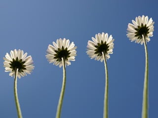 Gruppe Nr. 1
    HS 2010
 08.12.2010
    Page 15
 