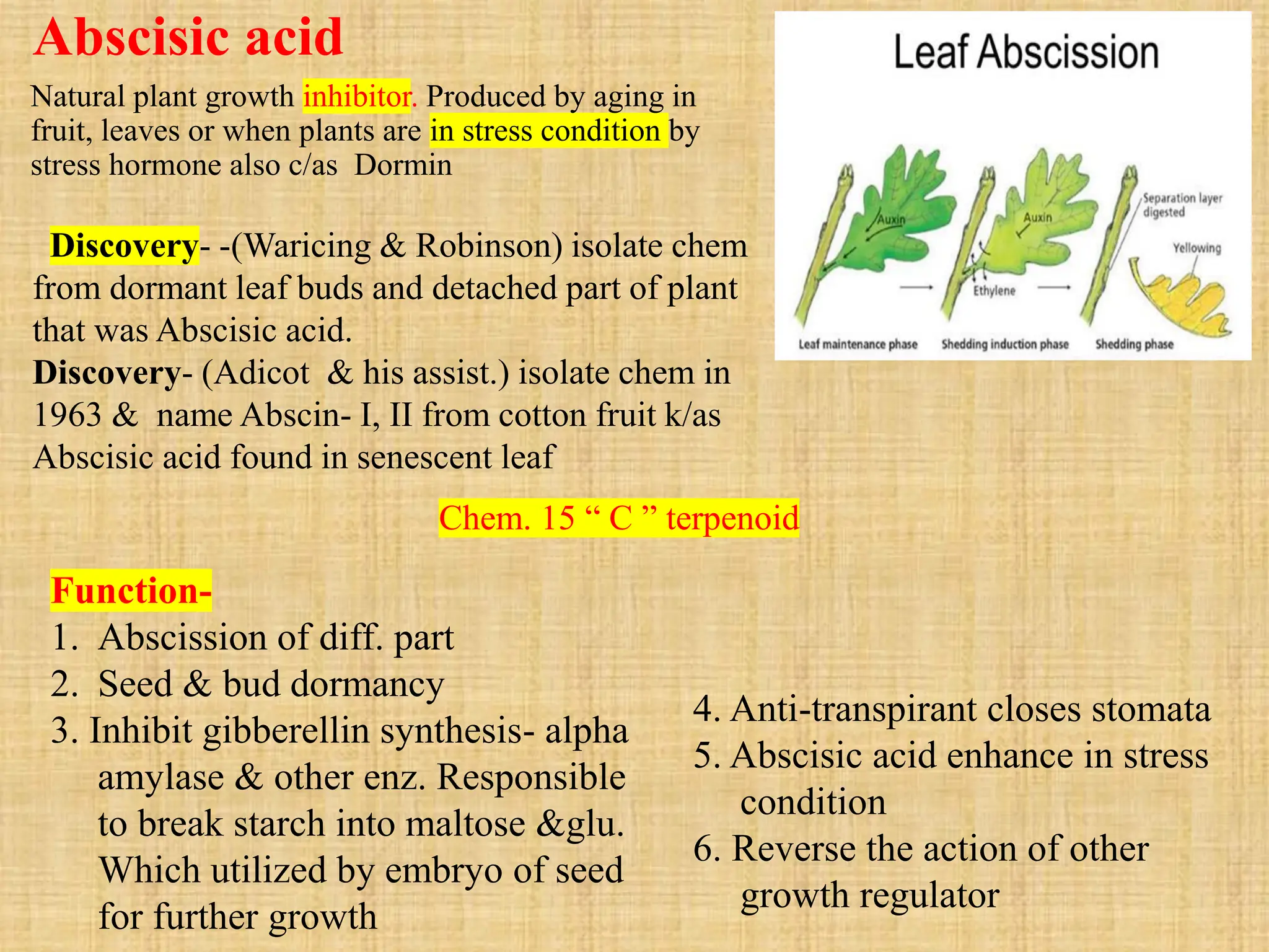 Abscisic acid Plant growth inhibitor PPT