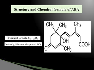 abscisic acid ppt ajajakisjsksjaiaoakakakajsja | PPTX
