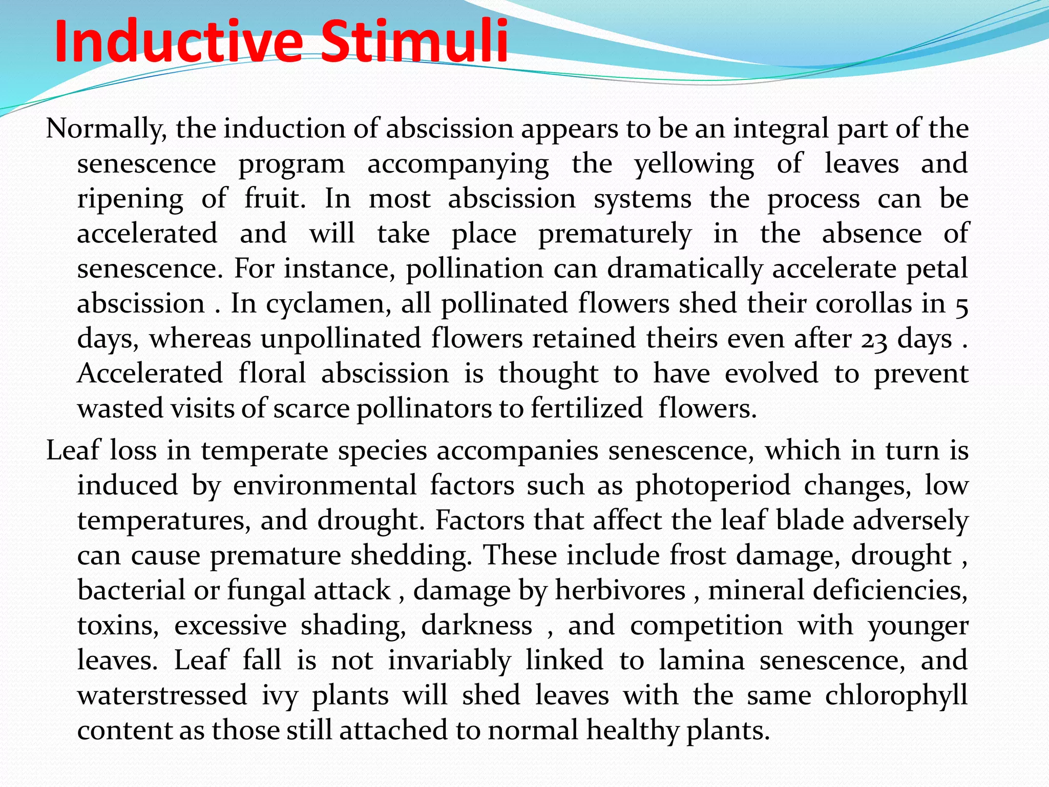 Inductive Stimuli
Normally, the induction of abscission appears to be an integral part of the
senescence program accompanying the yellowing of leaves and
ripening of fruit. In most abscission systems the process can be
accelerated and will take place prematurely in the absence of
senescence. For instance, pollination can dramatically accelerate petal
abscission . In cyclamen, all pollinated flowers shed their corollas in 5
days, whereas unpollinated flowers retained theirs even after 23 days .
Accelerated floral abscission is thought to have evolved to prevent
wasted visits of scarce pollinators to fertilized flowers.
Leaf loss in temperate species accompanies senescence, which in turn is
induced by environmental factors such as photoperiod changes, low
temperatures, and drought. Factors that affect the leaf blade adversely
can cause premature shedding. These include frost damage, drought ,
bacterial or fungal attack , damage by herbivores , mineral deficiencies,
toxins, excessive shading, darkness , and competition with younger
leaves. Leaf fall is not invariably linked to lamina senescence, and
waterstressed ivy plants will shed leaves with the same chlorophyll
content as those still attached to normal healthy plants.
 