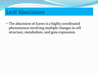 Leaf Abscission
 The abscission of leaves is a highly coordinated
phenomenon involving multiple changes in cell
structure, metabolism, and gene expression.
 