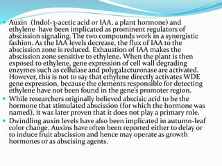  Auxin (Indol-3-acetic acid or IAA, a plant hormone) and
ethylene have been implicated as prominent regulators of
abscission signaling. The two compounds work in a synergistic
fashion. As the IAA levels decrease, the flux of IAA to the
abscission zone is reduced. Exhaustion of IAA makes the
abscission zone sensitive to ethylene. When the plant is then
exposed to ethylene, gene expression of cell wall degrading
enzymes such as cellulase and polygalacturonase are activated.
However, this is not to say that ethylene directly activates WDE
gene expression, because the elements responsible for detecting
ethylene have not been found in the gene’s promoter region.
 While researchers originally believed abscisic acid to be the
hormone that stimulated abscission (for which the hormone was
named), it was later proven that it does not play a primary role.
 Dwindling auxin levels have also been implicated in autumn-leaf
color change. Auxins have often been reported either to delay or
to induce fruit abscission and hence may operate as growth
hormones or as abscising agents.
 