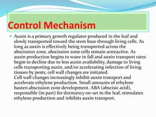 Control Mechanism
 Auxin is a primary growth regulator produced in the leaf and
slowly transported toward the stem base through living cells. As
long as auxin is effectively being transported across the
abscission zone, abscission zone cells remain unreactive. As
auxin production begins to wane in fall and auxin transport rates
begin to decline due to less auxin availability, damage to living
cells transporting auxin, and/or accelerating infection of living
tissues by pests, cell wall changes are initiated.
Cell wall changes increasingly inhibit auxin transport and
accelerate ethylene production. Small amounts of ethylene
hasten abscission zone development. ABA (abscisic acid),
responsible (in part) for dormancy on-set in the leaf, stimulates
ethylene production and inhibits auxin transport.
 