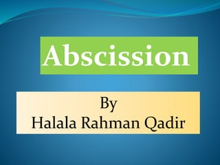 Abscission
By
Halala Rahman Qadir
 
