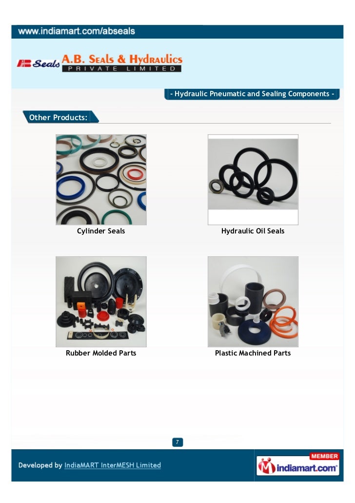 A. B. Seals & Hydraulics Private Limited, Kolkata, Hydraulic Pneumatic