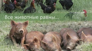 Все животные равны…
 