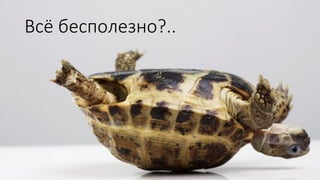Всё бесполезно?..
 