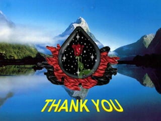 Absenteeism and turn over