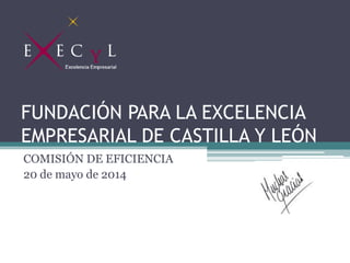 FUNDACIÓN PARA LA EXCELENCIA
EMPRESARIAL DE CASTILLA Y LEÓN
COMISIÓN DE EFICIENCIA
20 de mayo de 2014
 