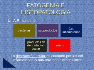 Un A.P. contiene:

                                        Cel.
     bacterias      subproductos
                                   inflamatorias


           productos de
           degradación         suero
              tisular

 La destrucción tisular es causada por las cel.
  Inflamatorias y sus enzimas extracelulares
 