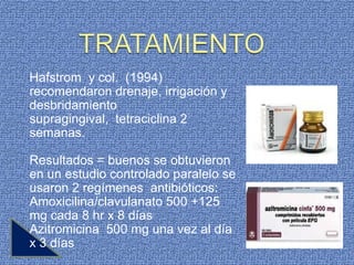 Hafstrom y col. (1994)
recomendaron drenaje, irrigación y
desbridamiento
supragingival, tetraciclina 2
semanas.

Resultados = buenos se obtuvieron
en un estudio controlado paralelo se
usaron 2 regímenes antibióticos:
Amoxicilina/clavulanato 500 +125
mg cada 8 hr x 8 días
Azitromicina 500 mg una vez al día
x 3 días
 