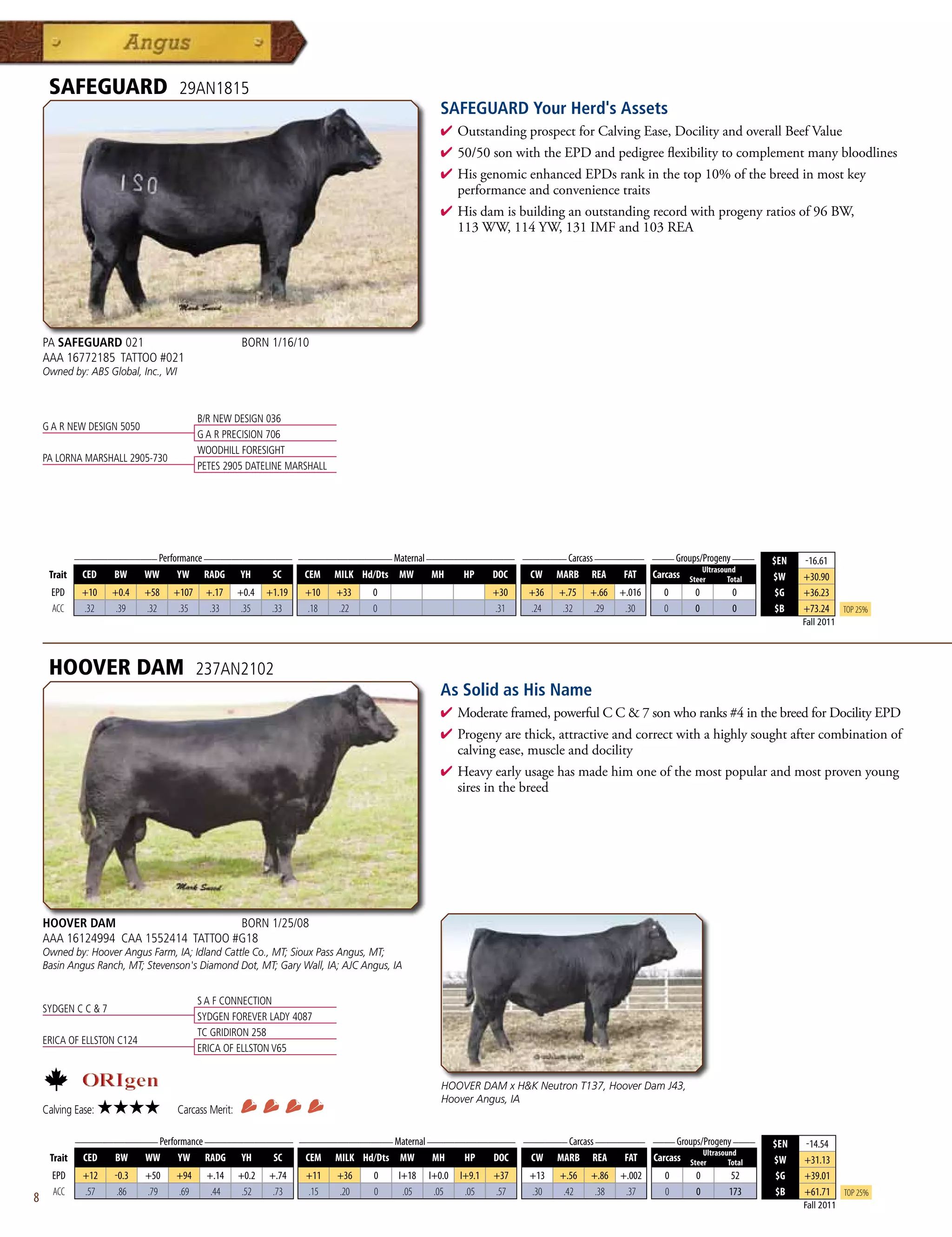 SAFEGUARD                       29AN1815
                                                                                               SAFEGUARD Your Herd's Assets
                                                                                               4  utstandingprospectforCalvingEase,DocilityandoverallBeefValue
                                                                                                 O
                                                                                               4 50/50sonwiththeEPDandpedigreeflexibilitytocomplementmanybloodlines
                                                                                               4 HisgenomicenhancedEPDsrankinthetop10%ofthebreedinmostkey
                                                                                                performanceandconveniencetraits
                                                                                               4 Hisdamisbuildinganoutstandingrecordwithprogenyratiosof96BW,
                                                                                                113WW,114YW,131IMFand103REA




    PA SAFEGUARD 021                                   BORN 1/16/10
    AAA 16772185 TATTOO #021
    Owned by: ABS Global, Inc., WI



                                          B/R NEW DESIGN 036
    G A R NEW DESIGN 5050
                                          G A R PRECISION 706
                                          WOODHILL FORESIGHT
    PA LORNA MARSHALL 2905-730
                                          PETES 2905 DATELINE MARSHALL




             _______________ Performance ________________ _________________ Maternal ________________ ________ Carcass _________ ____ Groups/Progeny ____
                                                                                                                                                                             $EN   -16.61
                                                                                                                                                             Ultrasound
     Trait    CED    BW     WW       YW    RADG       YH      SC     CEM   MILK Hd/Dts MW    MH      HP      DOC   CW    MARB   REA     FAT    Carcass   Steer       Total   $W    +30.90
      EPD     +10    +0.4   +58   +107      +.17      +0.4   +1.19   +10   +33   0                           +30   +36   +.75   +.66   +.016     0        0           0       $G   +36.23
      ACC     .32     .39   .32    .35       .33       .35    .33    .18   .22   0                           .31   .24    .32    .29    .30      0        0           0       $B   +73.24      Top 25%
                                                                                                                                                                                   Fall 2011




     HOOVER DAM                           237AN2102
                                                                                               As Solid as His Name
                                                                                               4  oderateframed,powerfulCC7sonwhoranks#4inthebreedforDocilityEPD
                                                                                                 M
                                                                                               4 Progenyarethick,attractiveandcorrectwithahighlysoughtaftercombinationof
                                                                                                calvingease,muscleanddocility
                                                                                               4 Heavyearlyusagehasmadehimoneofthemostpopularandmostprovenyoung
                                                                                                siresinthebreed




    HOOVER DAM                       BORN 1/25/08
    AAA 16124994 CAA 1552414 TATTOO #G18
    Owned by: Hoover Angus Farm, IA; Idland Cattle Co., MT; Sioux Pass Angus, MT;
    Basin Angus Ranch, MT; Stevenson's Diamond Dot, MT; Gary Wall, IA; AJC Angus, IA


                                          S A F CONNECTION
    SYDGEN C C  7
                                          SYDGEN FOREVER LADY 4087
                                          TC GRIDIRON 258
    ERICA OF ELLSTON C124
                                          ERICA OF ELLSTON V65


                                                                                                HOOVER DAM x HK Neutron T137, Hoover Dam J43,
                                                                                                Hoover Angus, IA
    Calving Ease:   ★★★★             Carcass Merit:

             _______________ Performance ________________ _________________ Maternal ________________ ________ Carcass _________ ____ Groups/Progeny ____
                                                                                                                                                                             $EN   -14.54
                                                                                                                                             Ultrasound
     Trait    CED   BW    WW      YW RADG YH         SC    CEM MILK Hd/Dts MW         MH    HP   DOC   CW MARB REA          FAT Carcass Steer        Total                   $W    +31.13
      EPD     +12    -0.3   +50   +94       +.14      +0.2   +.74    +11   +36   0    I+18   I+0.0   I+9.1   +37   +13   +.56   +.86   +.002      0        0         52       $G   +39.01
      ACC     .57     .86   .79   .69        .44       .52    .73    .15   .20   0     .05    .05     .05    .57   .30    .42    .38    .37       0        0         173      $B   +61.71      Top 25%
8                                                                                                                                                                                  Fall 2011
 