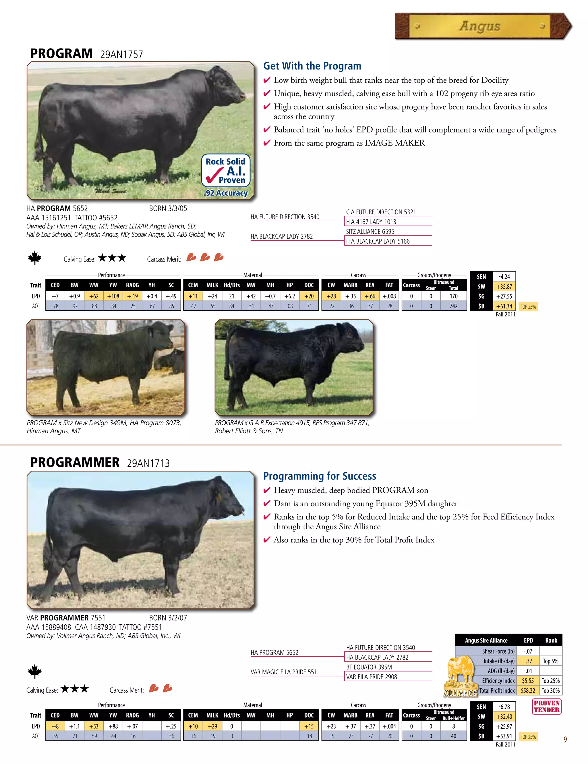 PROGRAM                        29AN1757
                                                                                               Get With the Program
                                                                                               4  owbirthweightbullthatranksnearthetopofthebreedforDocility
                                                                                                 L
                                                                                               4 Unique,heavymuscled,calvingeasebullwitha102progenyribeyearearatio
                                                                                               4 Highcustomersatisfactionsirewhoseprogenyhavebeenrancherfavoritesinsales
                                                                                                acrossthecountry
                                                                                               4 Balancedtrait'noholes'EPDprofilethatwillcomplementawiderangeofpedigrees
                                                                                               4 FromthesameprogramasIMAGEMAKER

                                                                         Rock Solid
                                                                                 A.I.
                                                                                Proven
                                                                         .92 Accuracy
HA PROGRAM 5652                                    BORN 3/3/05                                                             C A FUTURE DIRECTION 5321
AAA 15161251 TATTOO #5652                                                                 HA FUTURE DIRECTION 3540
                                                                                                                           H A 4167 LADY 1013
Owned by: Hinman Angus, MT; Bakers LEMAR Angus Ranch, SD;
Hal  Lois Schudel, OR; Austin Angus, ND; Sodak Angus, SD; ABS Global, Inc, WI                                             SITZ ALLIANCE 6595
                                                                                          HA BLACKCAP LADY 2782
                                                                                                                           H A BLACKCAP LADY 5166

                Calving Ease:   ★★★               Carcass Merit:
      _______________ Performance ________________ _________________ Maternal ________________ ________ Carcass _________ ____ Groups/Progeny ____
                                                                                                                                                                      $EN      -4.24
                                                                                                                                      Ultrasound
 Trait CED   BW    WW      YW RADG YH         SC    CEM MILK Hd/Dts MW         MH    HP   DOC   CW MARB REA          FAT Carcass Steer        Total                   $W      +35.87
  EPD     +7      +0.9    +62    +108   +.19      +0.4   +.49      +11    +24     21     +42   +0.7   +6.2   +20     +28   +.35   +.66   +.008   0     0   170         $G     +27.55
  ACC     .78      .92    .88     .84    .25       .67    .85      .47    .55     84     .51    .47    .08   .71     .22    .36    .37    .28    0     0   742         $B     +61.34      Top 25%
                                                                                                                                                                              Fall 2011




PROGRAM x Sitz New Design 349M, HA Program 8073,                            PROGRAM x G A R Expectation 4915, RES Program 347 871,
Hinman Angus, MT                                                            Robert Elliott  Sons, TN



 PROGRAMMER                             29AN1713
                                                                                               Programming for Success
                                                                                               4  eavymuscled,deepbodiedPROGRAMson
                                                                                                 H
                                                                                               4 DamisanoutstandingyoungEquator395Mdaughter
                                                                                               4 Ranksinthetop5%forReducedIntakeandthetop25%forFeedEfficiencyIndex
                                                                                                throughtheAngusSireAlliance
                                                                                               4 Alsoranksinthetop30%forTotalProfitIndex




VAR PROGRAMMER 7551               BORN 3/2/07
AAA 15889408 CAA 1487930 TATTOO #7551
Owned by: Vollmer Angus Ranch, ND; ABS Global, Inc., WI
                                                                                                                                                                 Angus Sire Alliance       EPD      Rank
                                                                                                                           HA FUTURE DIRECTION 3540
                                                                                          HA PROGRAM 5652                                                               Shear Force (lb) -.07
                                                                                                                           HA BLACKCAP LADY 2782
                                                                                                                                                                         Intake (lb/day) -.37     Top 5%
                                                                                                                           BT EQUATOR 395M
                                                                                          VAR MAGIC EILA PRIDE 551                                                         ADG (lb/day) -.01
                                                                                                                           VAR EILA PRIDE 2908
                                                                                                                                                                        Efficiency Index $5.55 Top 25%
Calving Ease:   ★★★              Carcass Merit:                                                                                                                        Total Profit Index $58.32 Top 30%
      _______________ Performance ________________ _________________ Maternal ________________ ________ Carcass _________ ____ Groups/Progeny ____
                                                                                                                                                                      $EN      -6.78
                                                                                                                                      Ultrasound
 Trait CED   BW    WW      YW RADG YH         SC    CEM MILK Hd/Dts MW         MH    HP   DOC   CW MARB REA          FAT Carcass Steer Bull+Heifer                    $W      +32.40
  EPD     +8      +1.1    +53    +88    +.07             +.25      +10    +29     0                          +15     +23   +.37   +.37   +.004   0     0    8          $G     +25.97
  ACC     .55      .71    .59    .44     .16              .56      .16    .19     0                          .18     .15    .25    .27    .20    0     0   40          $B     +53.91      Top 25%
                                                                                                                                                                              Fall 2011
                                                                                                                                                                                                           9
 